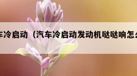 汽车冷启动（汽车冷启动发动机哒哒响怎么解决）