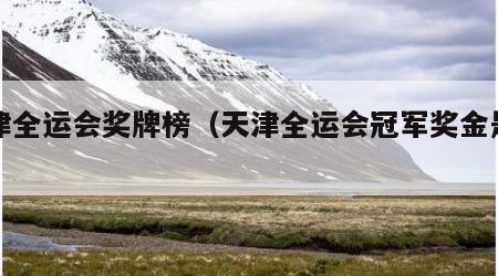 天津全运会奖牌榜（天津全运会冠军奖金是多少）