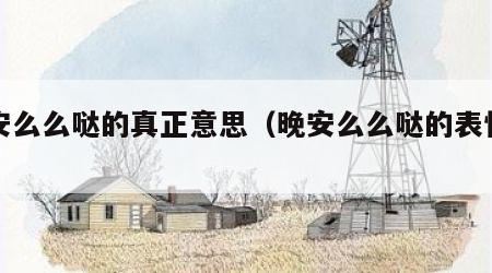 晚安么么哒的真正意思（晚安么么哒的表情包）