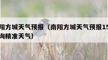 南阳方城天气预报（南阳方城天气预报15天查询精准天气）