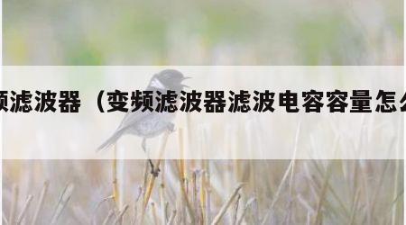 变频滤波器（变频滤波器滤波电容容量怎么选择）