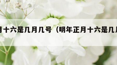 正月十六是几月几号（明年正月十六是几月几号）