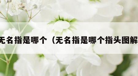 无名指是哪个（无名指是哪个指头图解）