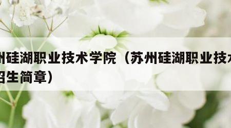苏州硅湖职业技术学院（苏州硅湖职业技术学院招生简章）