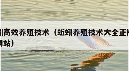 蚯蚓高效养殖技术（蚯蚓养殖技术大全正版销售网站）