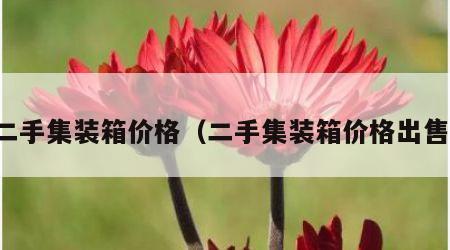 二手集装箱价格（二手集装箱价格出售）