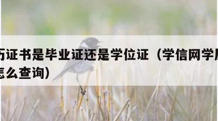 学历证书是毕业证还是学位证（学信网学历证明怎么查询）