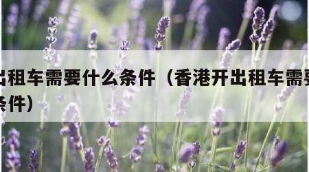 开出租车需要什么条件（香港开出租车需要什么条件）