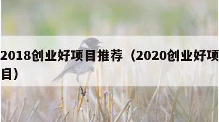 2018创业好项目推荐（2020创业好项目）