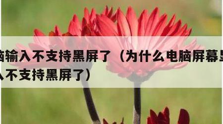 电脑输入不支持黑屏了（为什么电脑屏幕显示输入不支持黑屏了）