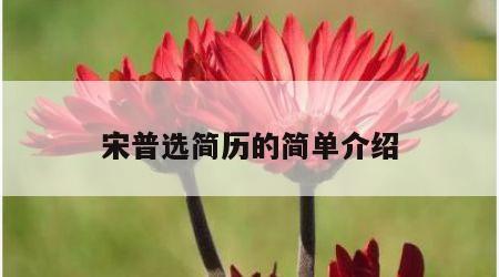 宋普选简历的简单介绍
