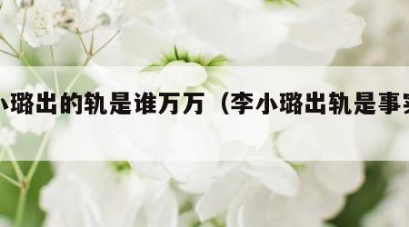李小璐出的轨是谁万万（李小璐出轨是事实吗）