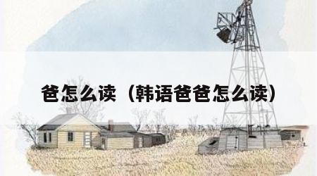 爸怎么读（韩语爸爸怎么读）