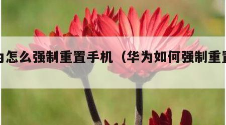 华为怎么强制重置手机（华为如何强制重置手机）
