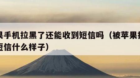 苹果手机拉黑了还能收到短信吗（被苹果拉黑发短信什么样子）