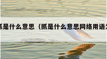 中抓是什么意思（抓是什么意思网络用语怎么说）
