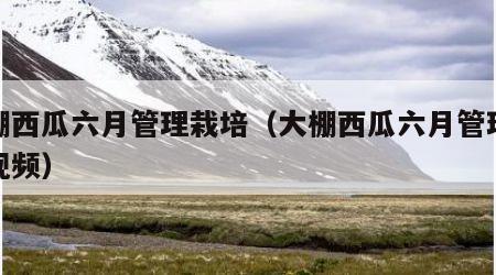 大棚西瓜六月管理栽培（大棚西瓜六月管理栽培视频）