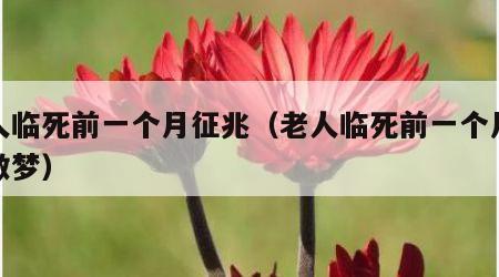 老人临死前一个月征兆（老人临死前一个月征兆做梦）