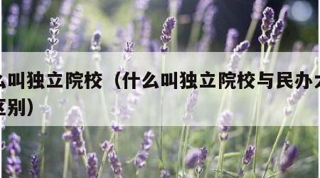 什么叫独立院校（什么叫独立院校与民办大学的区别）