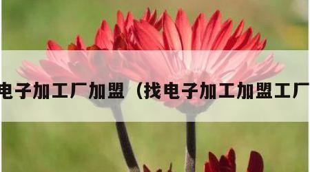 电子加工厂加盟（找电子加工加盟工厂）