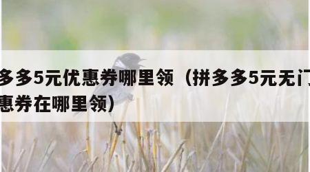 拼多多5元优惠券哪里领（拼多多5元无门槛优惠券在哪里领）