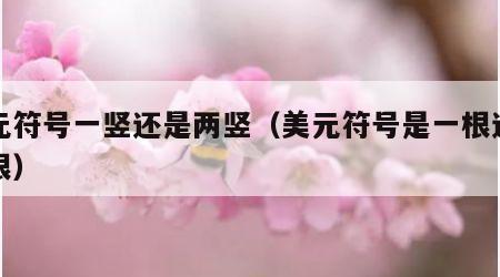 美元符号一竖还是两竖（美元符号是一根还是两根）