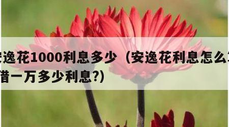 安逸花1000利息多少（安逸花利息怎么算?借一万多少利息?）