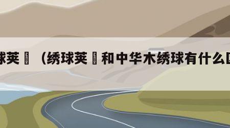 绣球荚蒾（绣球荚蒾和中华木绣球有什么区别）