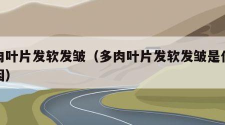 多肉叶片发软发皱（多肉叶片发软发皱是什么原因）