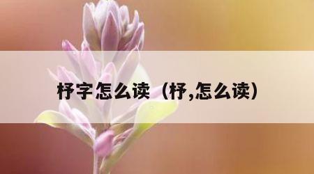 杼字怎么读（杼,怎么读）