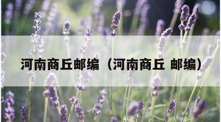 河南商丘邮编（河南商丘 邮编）