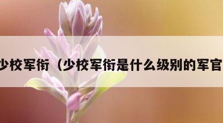 少校军衔（少校军衔是什么级别的军官）