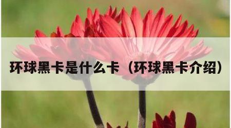 环球黑卡是什么卡（环球黑卡介绍）