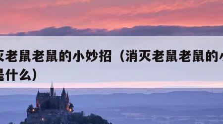 消灭老鼠老鼠的小妙招（消灭老鼠老鼠的小妙招是什么）