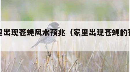 家里出现苍蝇风水预兆（家里出现苍蝇的预兆）