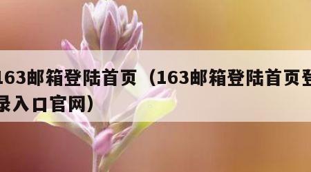 163邮箱登陆首页（163邮箱登陆首页登录入口官网）