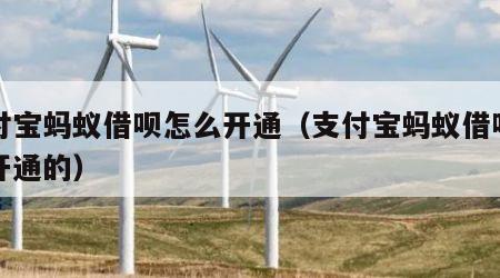 支付宝蚂蚁借呗怎么开通（支付宝蚂蚁借呗怎么开通的）
