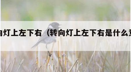 转向灯上左下右（转向灯上左下右是什么意思）
