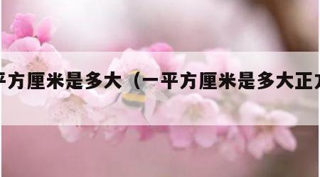 一平方厘米是多大（一平方厘米是多大正方形）