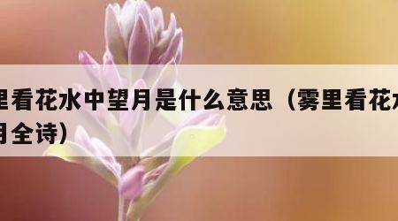 雾里看花水中望月是什么意思（雾里看花水中望月全诗）