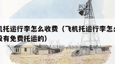 飞机托运行李怎么收费（飞机托运行李怎么收费没有免费托运的）