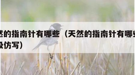天然的指南针有哪些（天然的指南针有哪些二年级仿写）