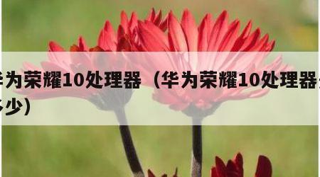 华为荣耀10处理器（华为荣耀10处理器是多少）