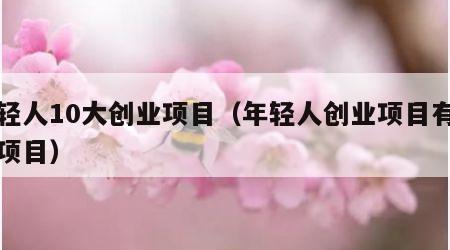年轻人10大创业项目（年轻人创业项目有哪些项目）