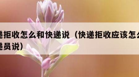快递拒收怎么和快递说（快递拒收应该怎么跟快递员说）