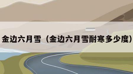 金边六月雪（金边六月雪耐寒多少度）