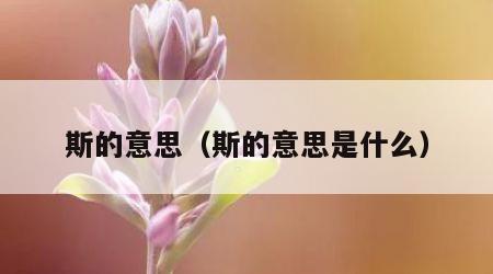 斯的意思（斯的意思是什么）