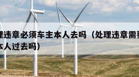 处理违章必须车主本人去吗（处理违章需要车主本人过去吗）