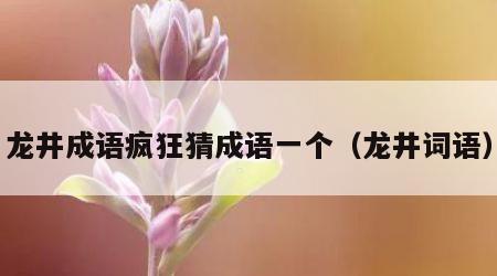 龙井成语疯狂猜成语一个（龙井词语）