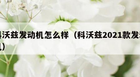 科沃兹发动机怎么样（科沃兹2021款发动机）